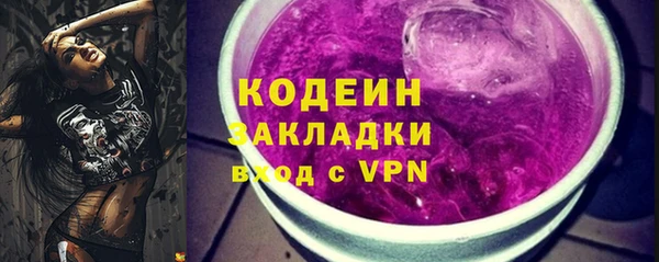 apvp Бородино