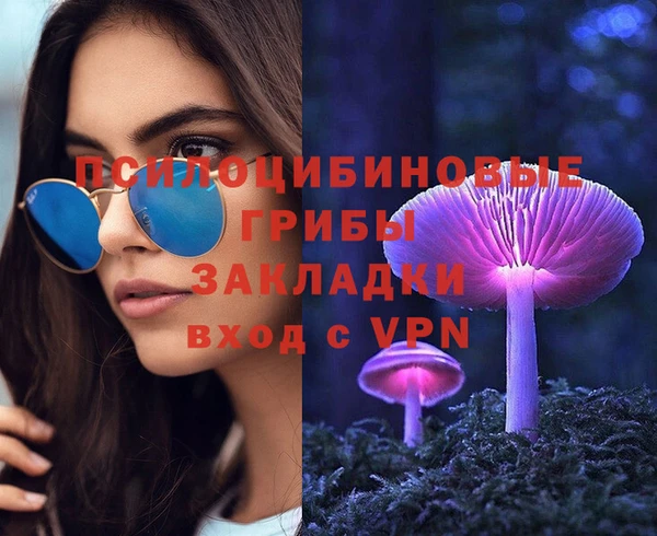 apvp Бородино