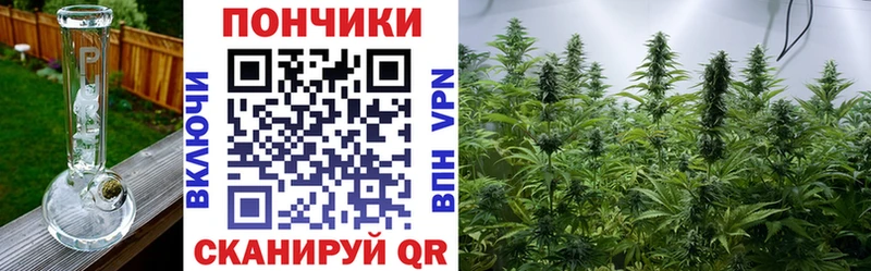 Шишки марихуана SATIVA & INDICA  Купить где  Нягань 